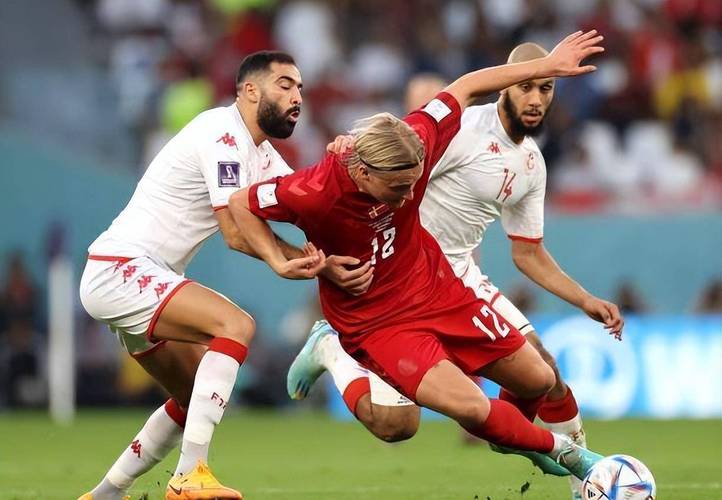 直播:丹麦vs突尼斯